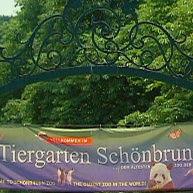 tiergarten schoenbrunn a tiergarten schoenbrunn a