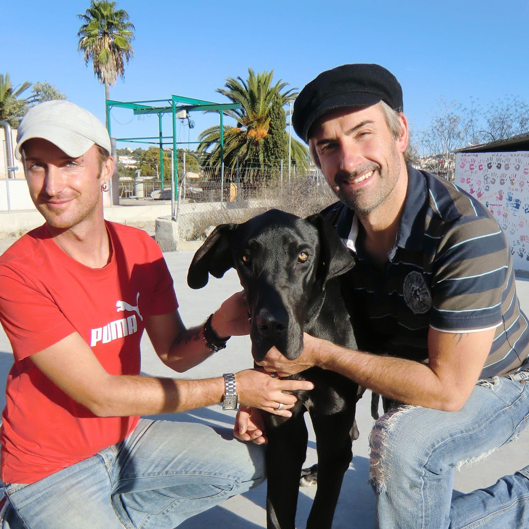 Tierschützer auf Mallorca - Rockstars mit Herz 1.jpg Tierschützer auf Mallorca - Rockstars mit Herz 1.jpg
