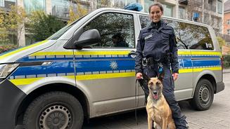 Einsatz für Kommissar Disco