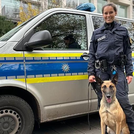 Bei der Münchener Polizei erlebt Kommissar Disco spannende Abenteuer