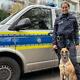 Einsatz für Kommissar Disco