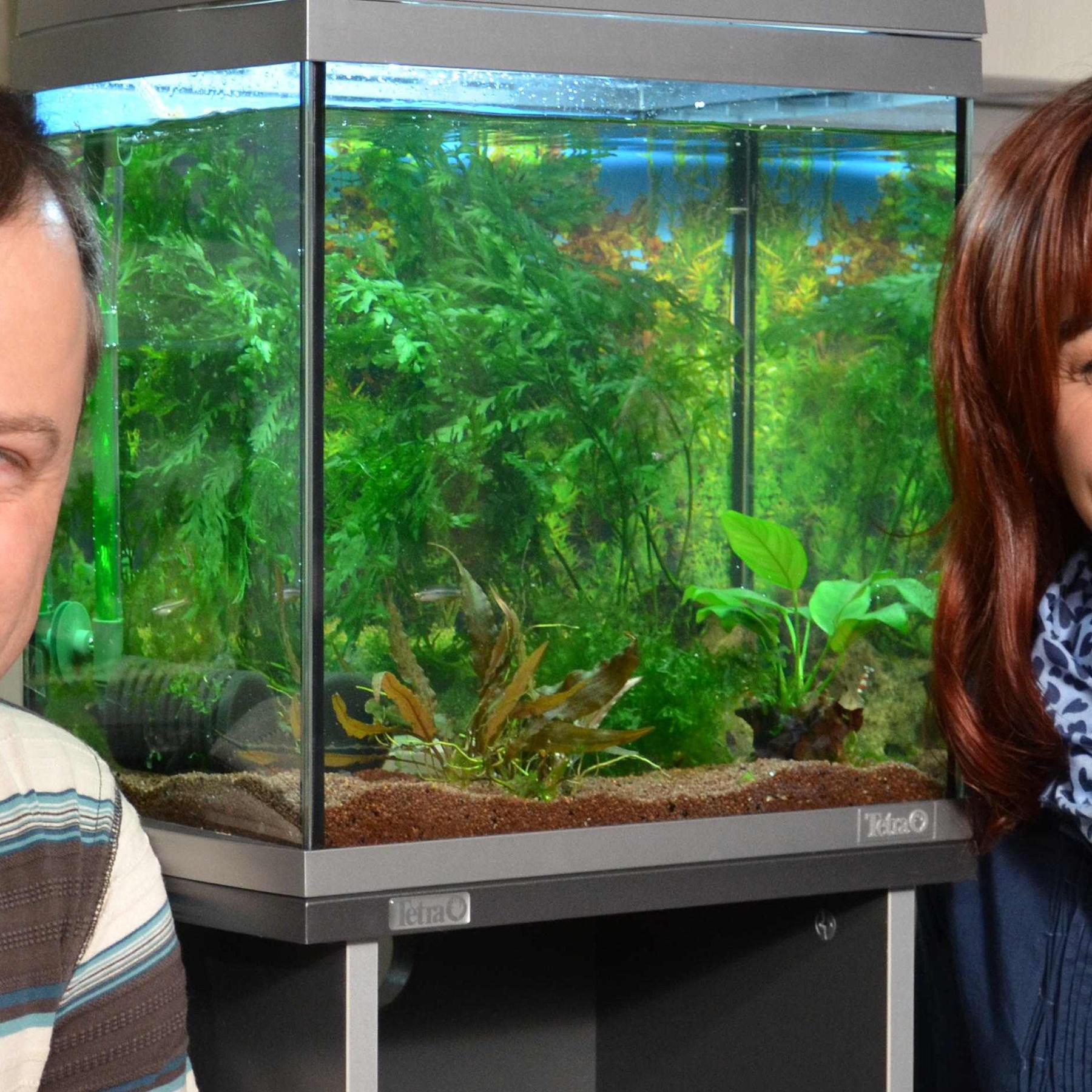 Tiergeschichten 2 - Diana und Kai Alexander Quante.jpg Tiergeschichten 2 - Diana und Kai Alexander Quante.jpg