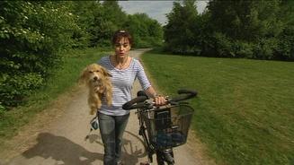 Fahrradfahren mit Hund