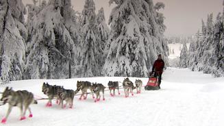 Gemeinsam durch Eis & Schnee
