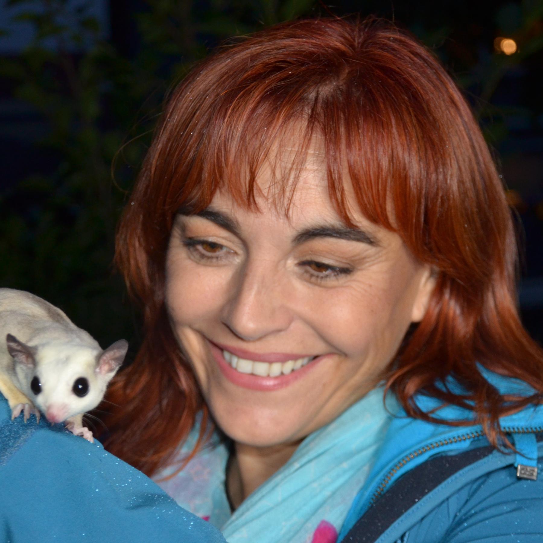 Diana Sugar Glider VOX DOCMA TV Diana Sugar Glider VOX DOCMA TV