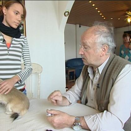 sprechstunde1 dr wolf chihuahua sprechstunde1 dr wolf chihuahua