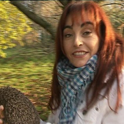 tiergeschichten1 diuana und igel tiergeschichten1 diuana und igel