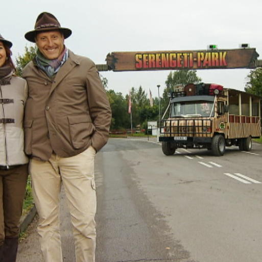 mhh serengeti mhh serengeti