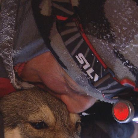 Vorschau 1 - Volker und Husky