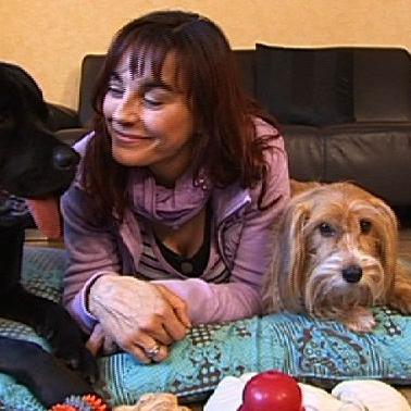 Vorschau 1 - Hundespielzeug Vorschau 1 - Hundespielzeug
