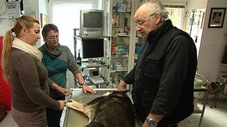 Erlösung für die schwerkranke Medy