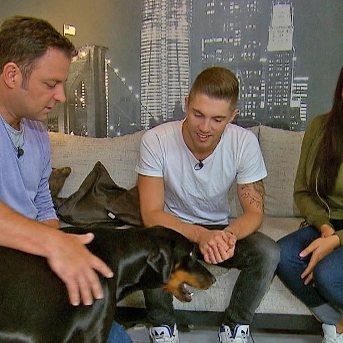 vip hundeprofi 18.02.2017 Joey heindle.jpg vip hundeprofi 18.02.2017 Joey heindle.jpg