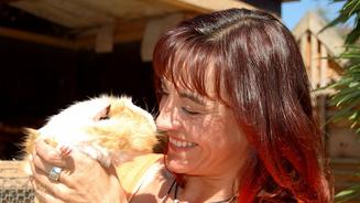 Katzentransportboxen im Test