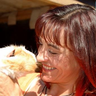 Tiergeschichten2 - VOX-DOCMA TV-JULIA PANZER - Meerschweinchen Haltung Tiergeschichten2 - VOX-DOCMA TV-JULIA PANZER - Meerschweinchen Haltung