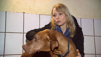 Diese Hunde sind total verwahrlost
