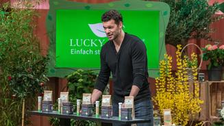 Michael Ballack stellt sich den Löwen