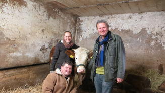 Kalb Wilma braucht ein neues Zuhause