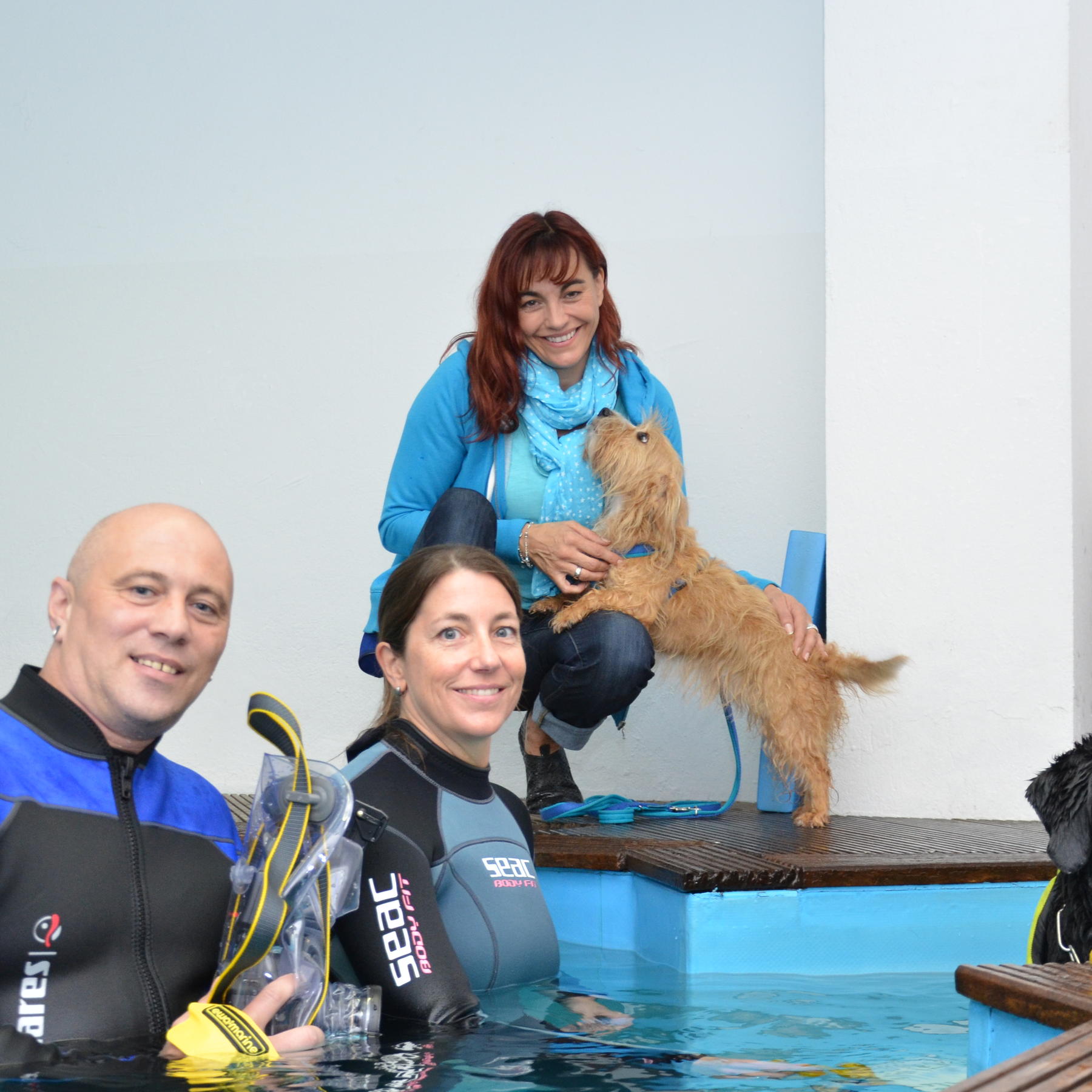 TG1 - Hundeportraits. VOX-DOCMA TV - hundkatzemaus-Reporterin Diana Eichhorn und ihre kleine Wutz beim Unterwasser-Shooting TG1 - Hundeportraits. VOX-DOCMA TV - hundkatzemaus-Reporterin Diana Eichhorn und ihre kleine Wutz beim Unterwasser-Shooting