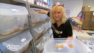 Das sind die neuen Kandidatinnen