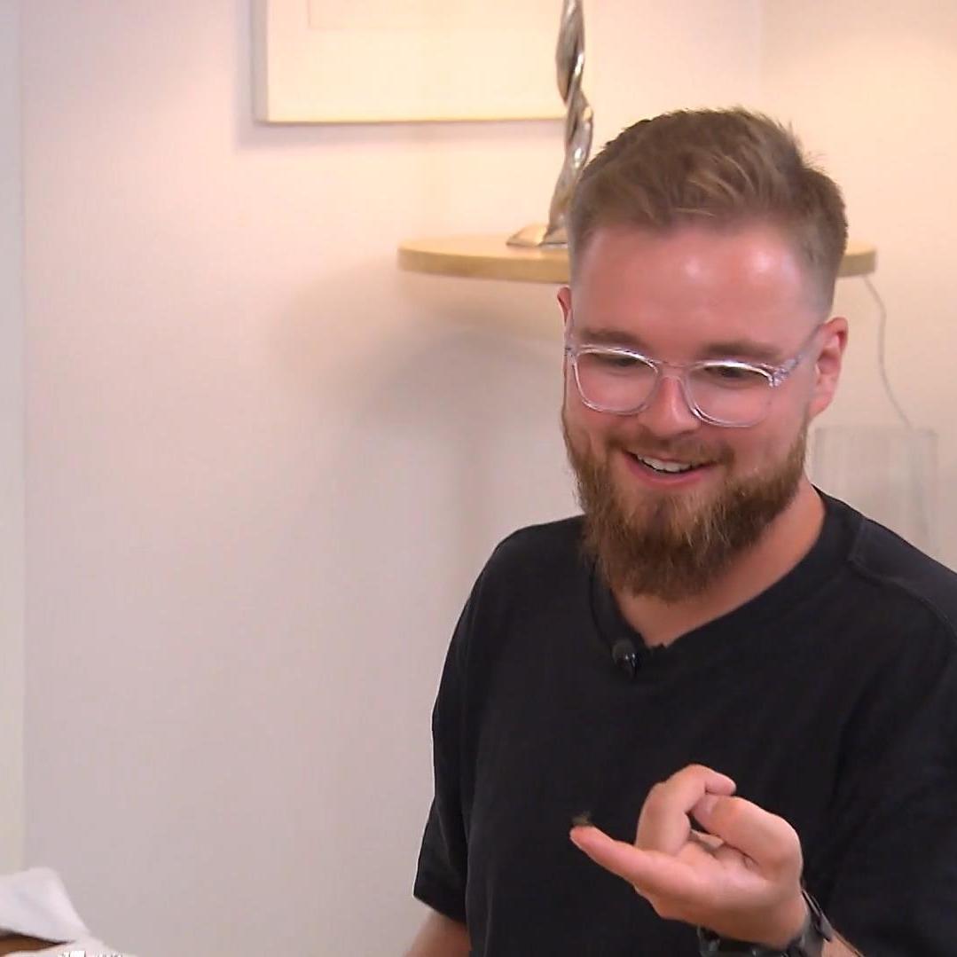 Bei \Das perfekte Dinner\ fühlen sich auf Insekten wohl. Bei \Das perfekte Dinner\ fühlen sich auf Insekten wohl.