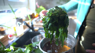 kabeljau, kürbis, brennnessel