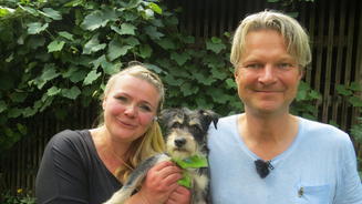 Blinder Hund sucht ein Zuhause