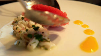 Ceviche mit Shiso-Sorbet an Salat