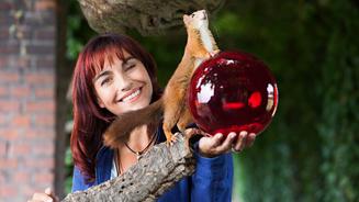 Die "hundkatzemaus"-Experten