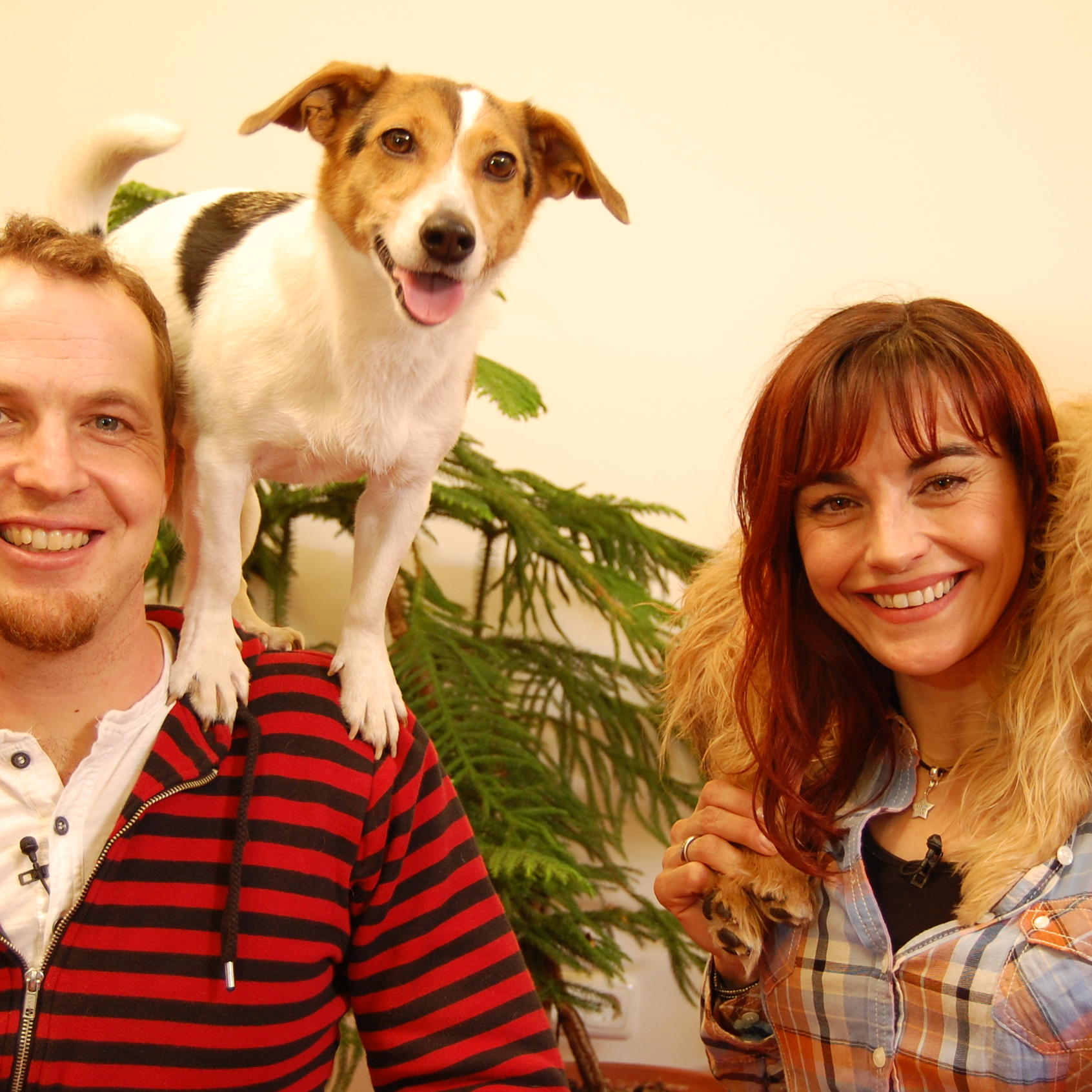 hkm Hundetricks mit Yvo Antoni + PrimaDonna hkm Hundetricks mit Yvo Antoni + PrimaDonna