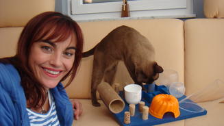 Schluss mit Katzen-Langeweile!