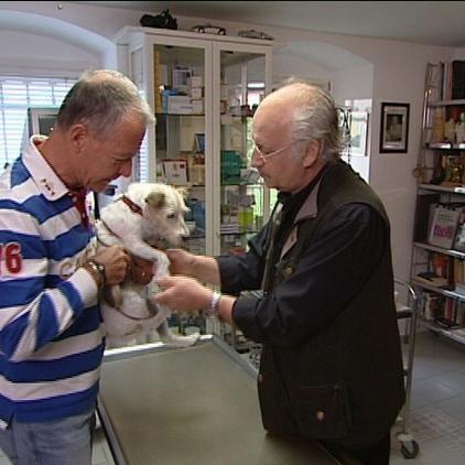 Vorschau Dr. Wolf und Hund Vorschau Dr. Wolf und Hund