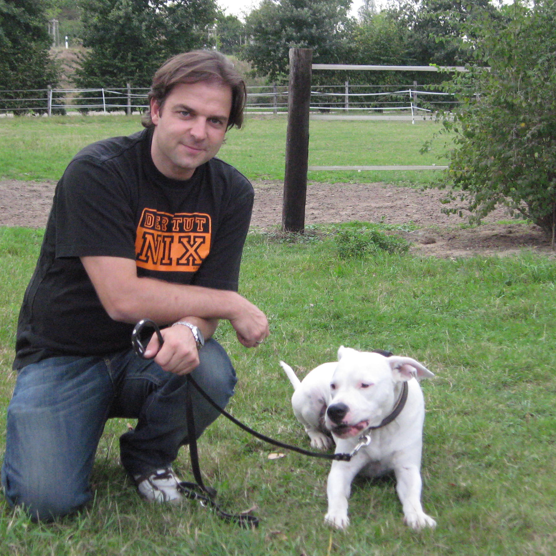 hundeprofi dibo01 hundeprofi dibo01