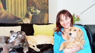 Die gängigsten Hundemythen