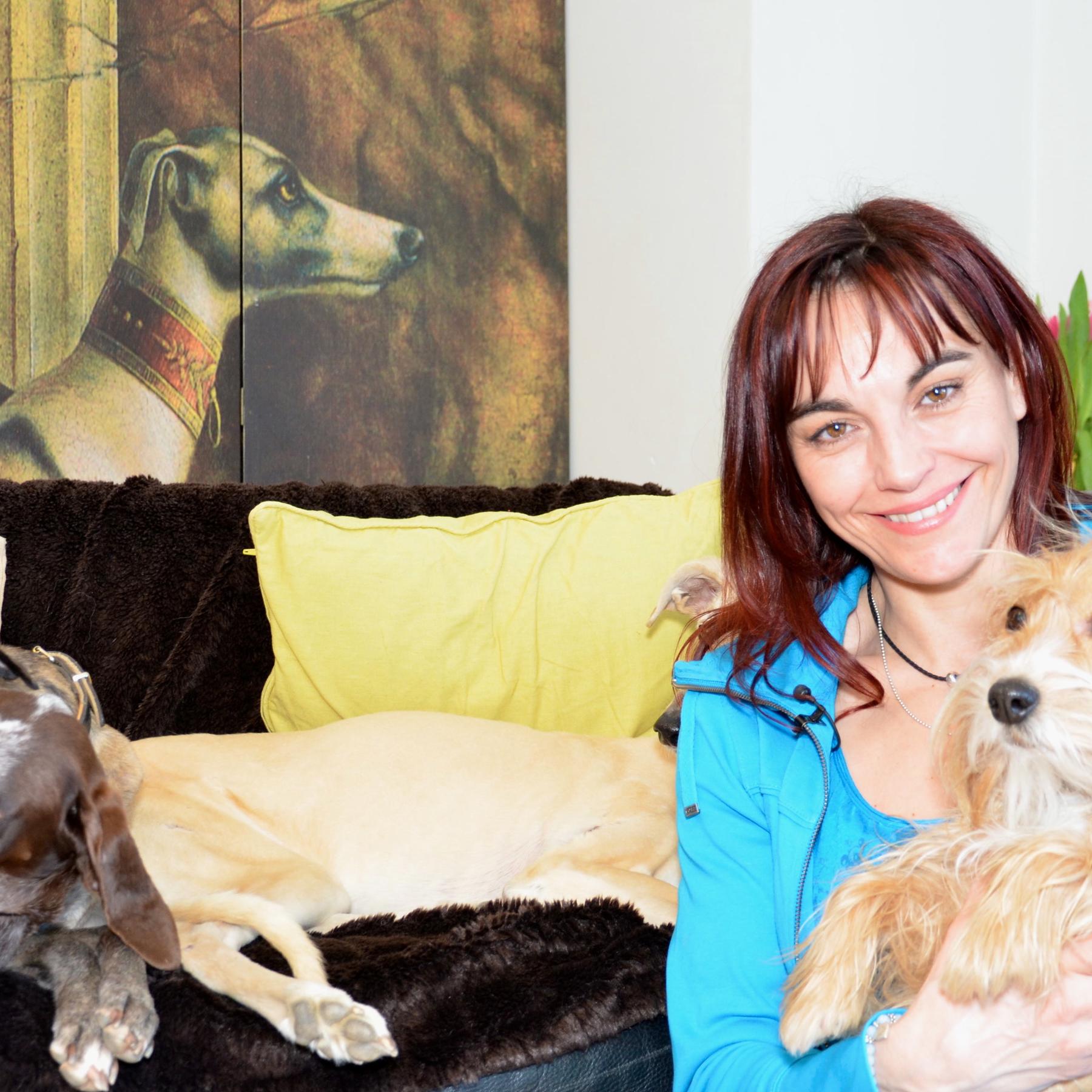 Tiergeschichten1 - Hundemythen