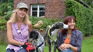 Mentra - Mentales Training für Hunde