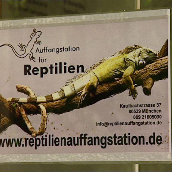 Rep-Muc Rep-Muc