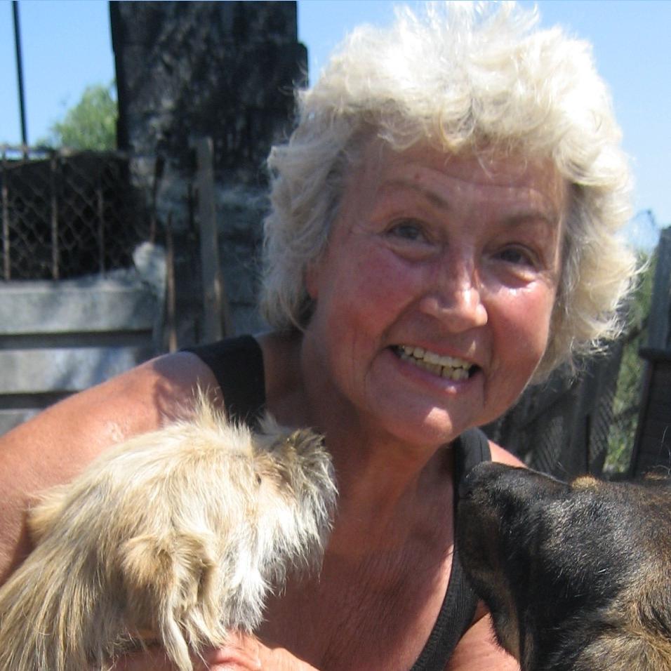 Tiergeschichten 3 - Harte Hunde - 2 Tiergeschichten 3 - Harte Hunde - 2