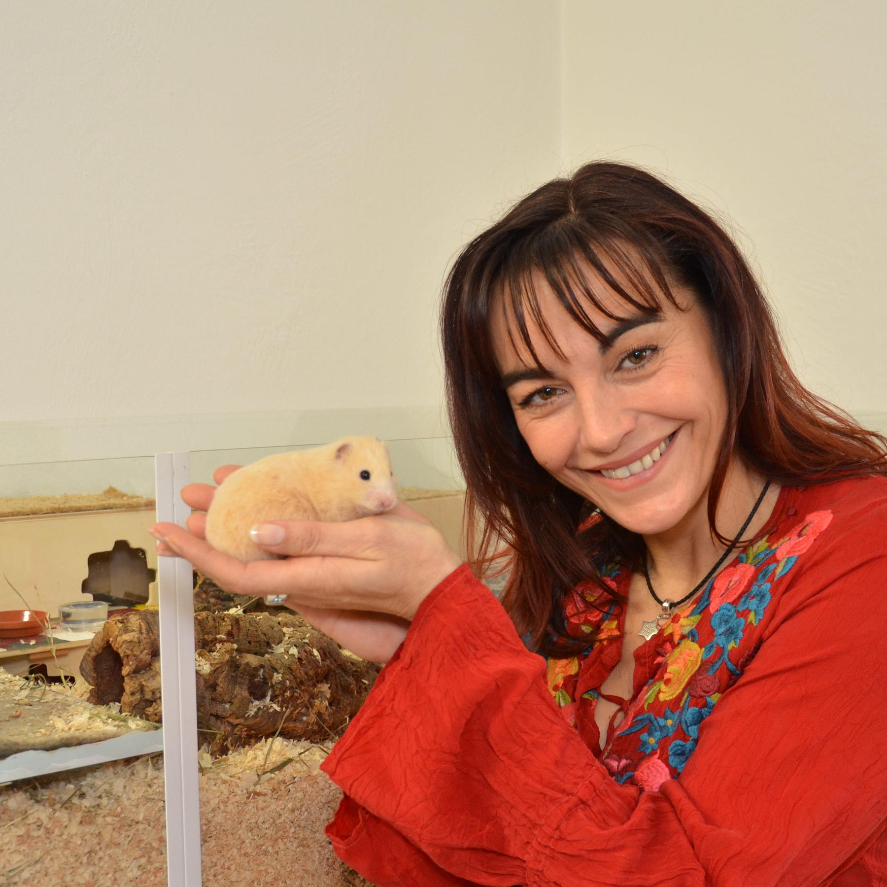 Tiergeschichten1 - Diana und Goldhamster.JPG Tiergeschichten1 - Diana und Goldhamster.JPG