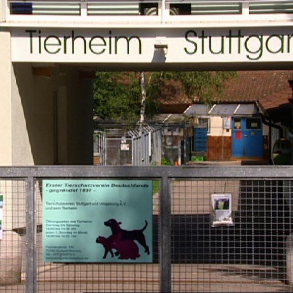 TH-Stuttgart TH-Stuttgart