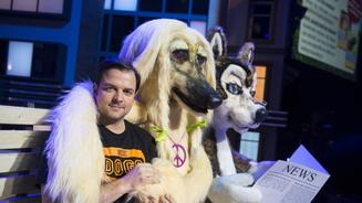 Der Hundeprofi on Tour