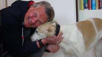 Frank Weber rettet irische Windhunde