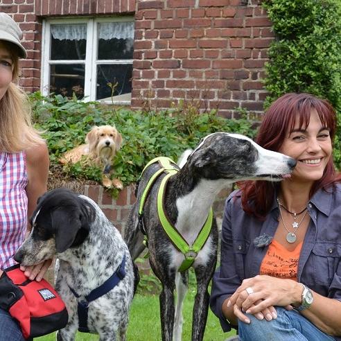 Tiergeschichten1 - VOX-DOCMA TV - Diana im Schnffgarten Tiergeschichten1 - VOX-DOCMA TV - Diana im Schnffgarten