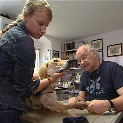 vorschau Dr Wolf und Hund mit Bnderriss vorschau Dr Wolf und Hund mit Bnderriss
