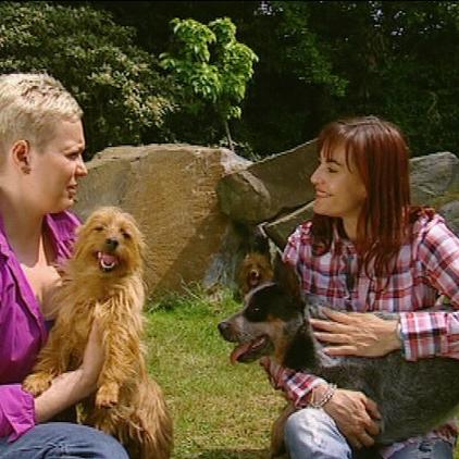 tiergeschichten1 Diana Eichhorn Zuzana Behne tiergeschichten1 Diana Eichhorn Zuzana Behne