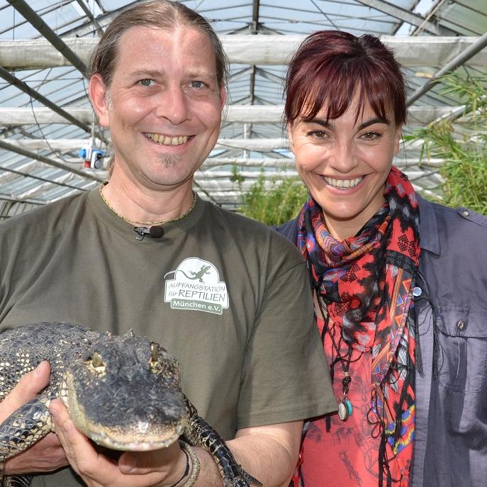 Tiergeschichten2 - VOX-DOCMA TV-HEIKE REINHARDT - hundkatzemaus-Reporterin Diana Eichhorn und Dr. Markus Bauer haben beim Umzug der Alligatoren alle Hnde voll zu tun Tiergeschichten2 - VOX-DOCMA TV-HEIKE REINHARDT - hundkatzemaus-Reporterin Diana Eichhorn und Dr. Markus Bauer haben beim Umzug der Alligatoren alle Hnde voll zu tun