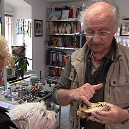 Sprechstunde - Dr. Wolf und Hund mit Zahnfistel