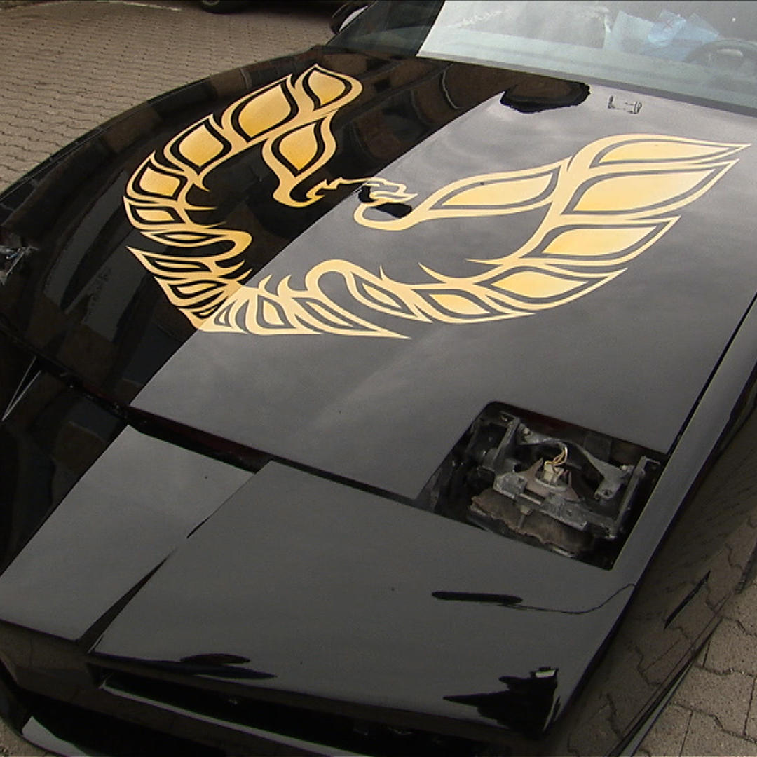 Internetbilder-Folge50 Tuning-Profis Internetbilder-Folge50 Tuning-Profis