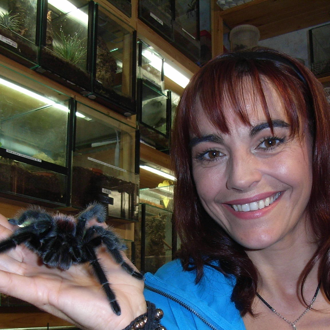 tiergeschichten1 vogelspinnen2