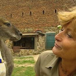 tiergeschichten3 tiergeschichten3