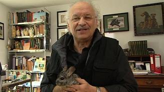 Ein Katzenduo auf Diebestour